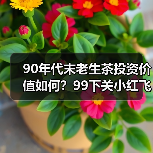 90年代末老生茶投资价值如何？99下关小红飞烟香浓郁是否值得收藏？（图4）