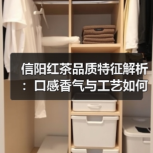 信阳红茶品质特征解析：口感香气与工艺如何塑造茶品？（图3）
