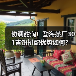 协调甜润!勐海茶厂301青饼拼配优势如何?(图1) 协调甜润!勐海茶厂301青饼拼配优势如何?(图1)