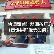 协调甜润!勐海茶厂301青饼拼配优势如何?(图4) 协调甜润!勐海茶厂301青饼拼配优势如何?(图4)