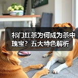 祁门红茶为何成为茶中瑰宝?五大特色解析(图3) 祁门红茶为何成为茶中瑰宝?五大特色解析(图3)