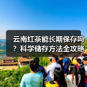 云南红茶能长期保存吗?科学储存方法全攻略(图2) 云南红茶能长期保存吗?科学储存方法全攻略(图2)