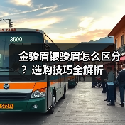 金骏眉银骏眉怎么区分?选购技巧全解析(图4) 金骏眉银骏眉怎么区分?选购技巧全解析(图4)