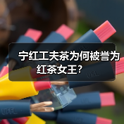 宁红工夫茶为何被誉为红茶女王?(图4) 宁红工夫茶为何被誉为红茶女王?(图4)