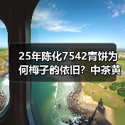 25年陈化7542青饼为何梅子韵依旧?中茶黄印经典品鉴(图1) 25年陈化7542青饼为何梅子韵依旧?中茶黄印经典品鉴(图1)