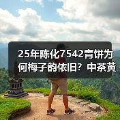 25年陈化7542青饼为何梅子韵依旧?中茶黄印经典品鉴(图3) 25年陈化7542青饼为何梅子韵依旧?中茶黄印经典品鉴(图3)
