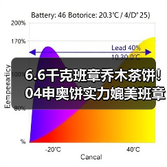 6.6千克班章乔木茶饼!04申奥饼实力媲美班章白菜(图2) 6.6千克班章乔木茶饼!04申奥饼实力媲美班章白菜(图2)