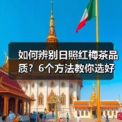 如何辨别日照红梅茶品质?6个方法教你选好茶(图3) 如何辨别日照红梅茶品质?6个方法教你选好茶(图3)