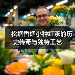 松烟香烟小种红茶的历史传奇与独特工艺(图2) 松烟香烟小种红茶的历史传奇与独特工艺(图2)
