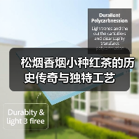 松烟香烟小种红茶的历史传奇与独特工艺(图3) 松烟香烟小种红茶的历史传奇与独特工艺(图3)