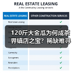 120斤大金瓜为何成茶界镇店之宝?稀缺难寻的神秘原因(图4) 120斤大金瓜为何成茶界镇店之宝?稀缺难寻的神秘原因(图4)