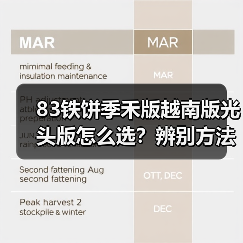 83铁饼季禾版越南版光头版怎么选?辨别方法全解析(图1) 83铁饼季禾版越南版光头版怎么选?辨别方法全解析(图1)