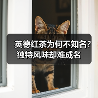 英德红茶为何不知名?独特风味却难成名(图1) 英德红茶为何不知名?独特风味却难成名(图1)