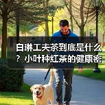 白琳工夫茶到底是什么?小叶种红茶的健康密码(图1) 白琳工夫茶到底是什么?小叶种红茶的健康密码(图1)