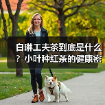 白琳工夫茶到底是什么?小叶种红茶的健康密码(图4) 白琳工夫茶到底是什么?小叶种红茶的健康密码(图4)