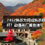 7452熟茶为何成熟茶标杆?勐海茶厂首批唛号揭秘(图4) 7452熟茶为何成熟茶标杆?勐海茶厂首批唛号揭秘(图4)