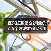 宜兴红茶怎么辨别好坏?5个方法准确又实用(图1) 宜兴红茶怎么辨别好坏?5个方法准确又实用(图1)