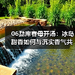 06勐库春母开汤:冰岛甜香如何与沉实香气共舞?(图3) 06勐库春母开汤:冰岛甜香如何与沉实香气共舞?(图3)