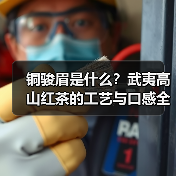 铜骏眉是什么?武夷高山红茶的工艺与口感全解析(图1) 铜骏眉是什么?武夷高山红茶的工艺与口感全解析(图1)