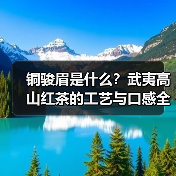 铜骏眉是什么?武夷高山红茶的工艺与口感全解析(图3) 铜骏眉是什么?武夷高山红茶的工艺与口感全解析(图3)