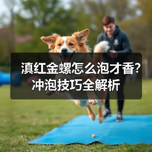 滇红金螺怎么泡才香?冲泡技巧全解析(图2) 滇红金螺怎么泡才香?冲泡技巧全解析(图2)