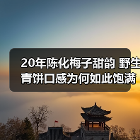 20年陈化梅子甜韵 野生青饼口感为何如此饱满?(图3) 20年陈化梅子甜韵 野生青饼口感为何如此饱满?(图3)