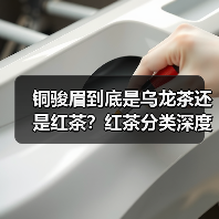 铜骏眉到底是乌龙茶还是红茶？红茶分类深度解析（图2）