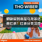 铜骏眉到底是乌龙茶还是红茶？红茶分类深度解析（图3）