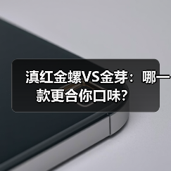 滇红金螺VS金芽:哪一款更合你口味?(图2) 滇红金螺VS金芽:哪一款更合你口味?(图2)