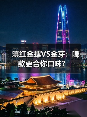 滇红金螺VS金芽:哪一款更合你口味?(图3) 滇红金螺VS金芽:哪一款更合你口味?(图3)