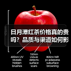 日月潭红茶价格真的贵吗?品质与渠道如何影响选购(图1) 日月潭红茶价格真的贵吗?品质与渠道如何影响选购(图1)