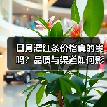 日月潭红茶价格真的贵吗?品质与渠道如何影响选购(图4) 日月潭红茶价格真的贵吗?品质与渠道如何影响选购(图4)