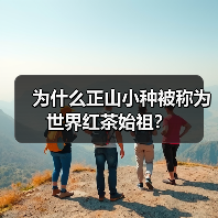 为什么正山小种被称为世界红茶始祖?(图1) 为什么正山小种被称为世界红茶始祖?(图1)