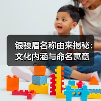 银骏眉名称由来揭秘：文化内涵与命名寓意（图3）