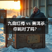 九曲红梅 vs 普洱茶,你喝对了吗?(图1) 九曲红梅 vs 普洱茶,你喝对了吗?(图1)