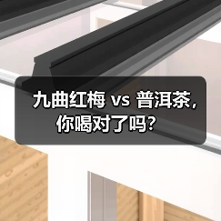 九曲红梅 vs 普洱茶,你喝对了吗?(图3) 九曲红梅 vs 普洱茶,你喝对了吗?(图3)