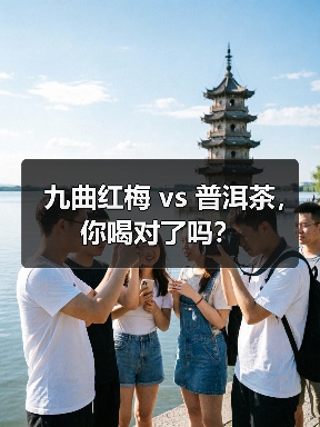 九曲红梅 vs 普洱茶,你喝对了吗?(图4) 九曲红梅 vs 普洱茶,你喝对了吗?(图4)