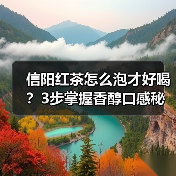 信阳红茶怎么泡才好喝？3步掌握香醇口感秘诀（图3）