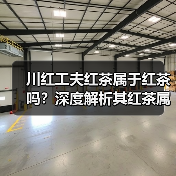 川红工夫红茶属于红茶吗？深度解析其红茶属性（图1）