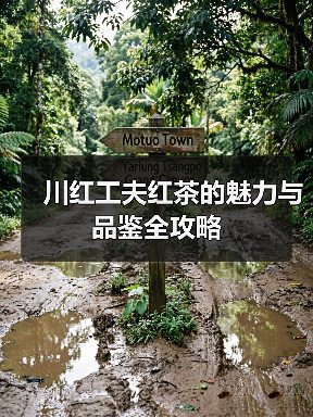 川红工夫红茶的魅力与品鉴全攻略（图3）
