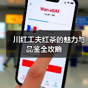 川红工夫红茶的魅力与品鉴全攻略（图4）