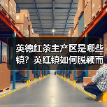 英德红茶主产区是哪些镇?英红镇如何脱颖而出(图2) 英德红茶主产区是哪些镇?英红镇如何脱颖而出(图2)