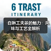 白琳工夫茶的魅力:风味与工艺全解析(图2) 白琳工夫茶的魅力:风味与工艺全解析(图2)