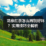 龙泉红茶怎么辨别好坏?实用技巧全解析(图1) 龙泉红茶怎么辨别好坏?实用技巧全解析(图1)