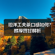 坦洋工夫茶口感如何?醇厚回甘解析(图2) 坦洋工夫茶口感如何?醇厚回甘解析(图2)
