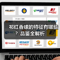 祁红香螺的特征有哪些?品鉴全解析(图1) 祁红香螺的特征有哪些?品鉴全解析(图1)