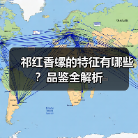 祁红香螺的特征有哪些?品鉴全解析(图2) 祁红香螺的特征有哪些?品鉴全解析(图2)