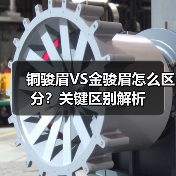 铜骏眉VS金骏眉怎么区分?关键区别解析(图2) 铜骏眉VS金骏眉怎么区分?关键区别解析(图2)