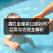 滇红金螺茶口感如何?品质与功效全解析(图1) 滇红金螺茶口感如何?品质与功效全解析(图1)