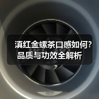 滇红金螺茶口感如何?品质与功效全解析(图3) 滇红金螺茶口感如何?品质与功效全解析(图3)